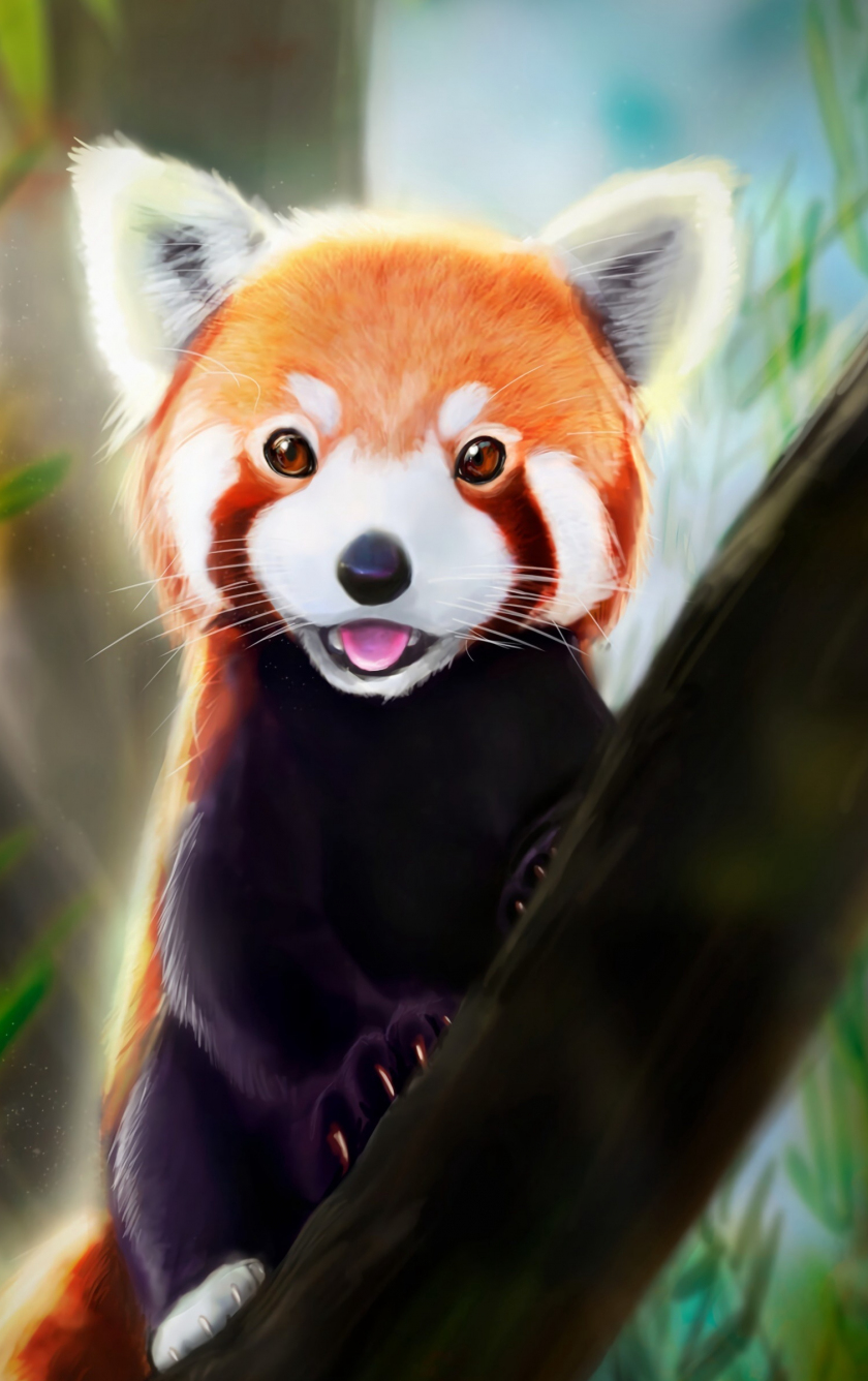 Red Panda Kawaii Wallpapers