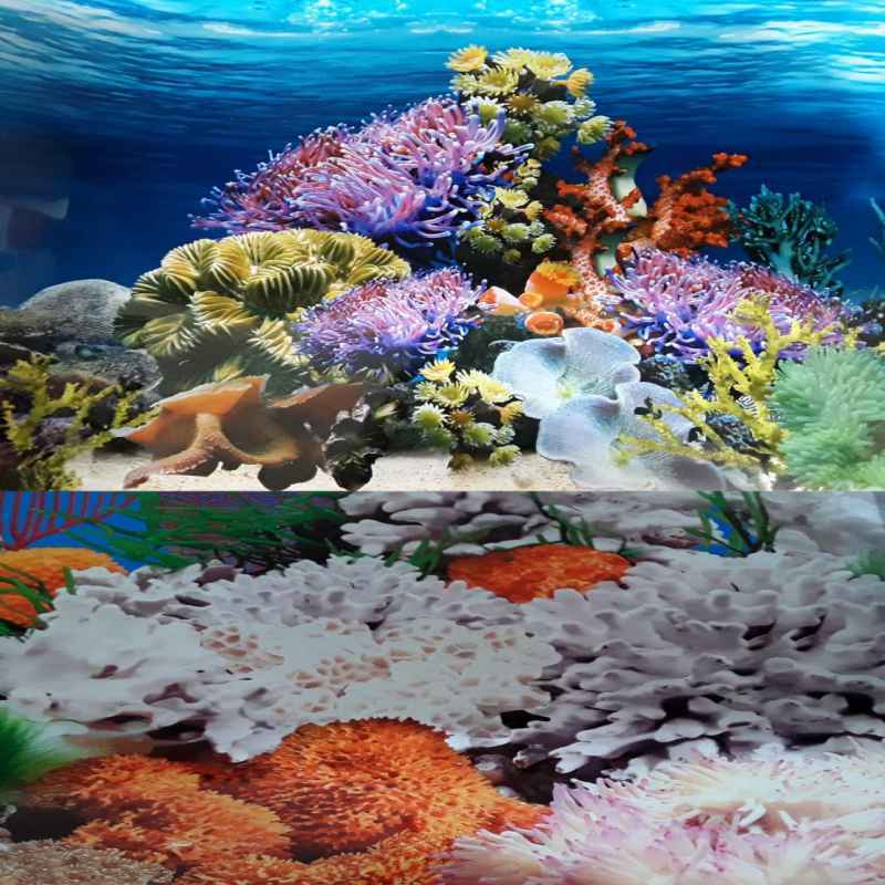 Aquarium Wallpapers