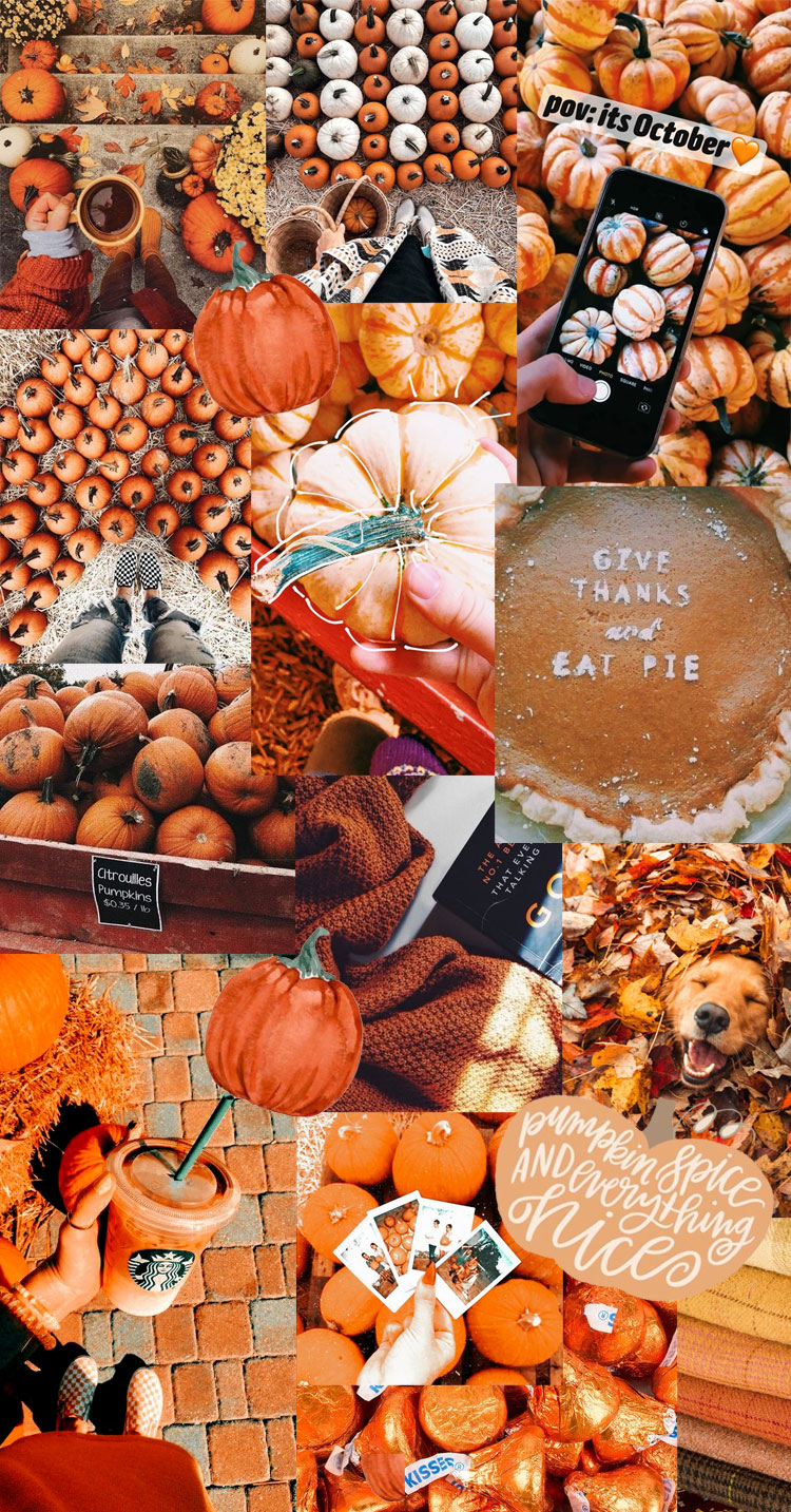 Autumn Aesthetic Wallpapers