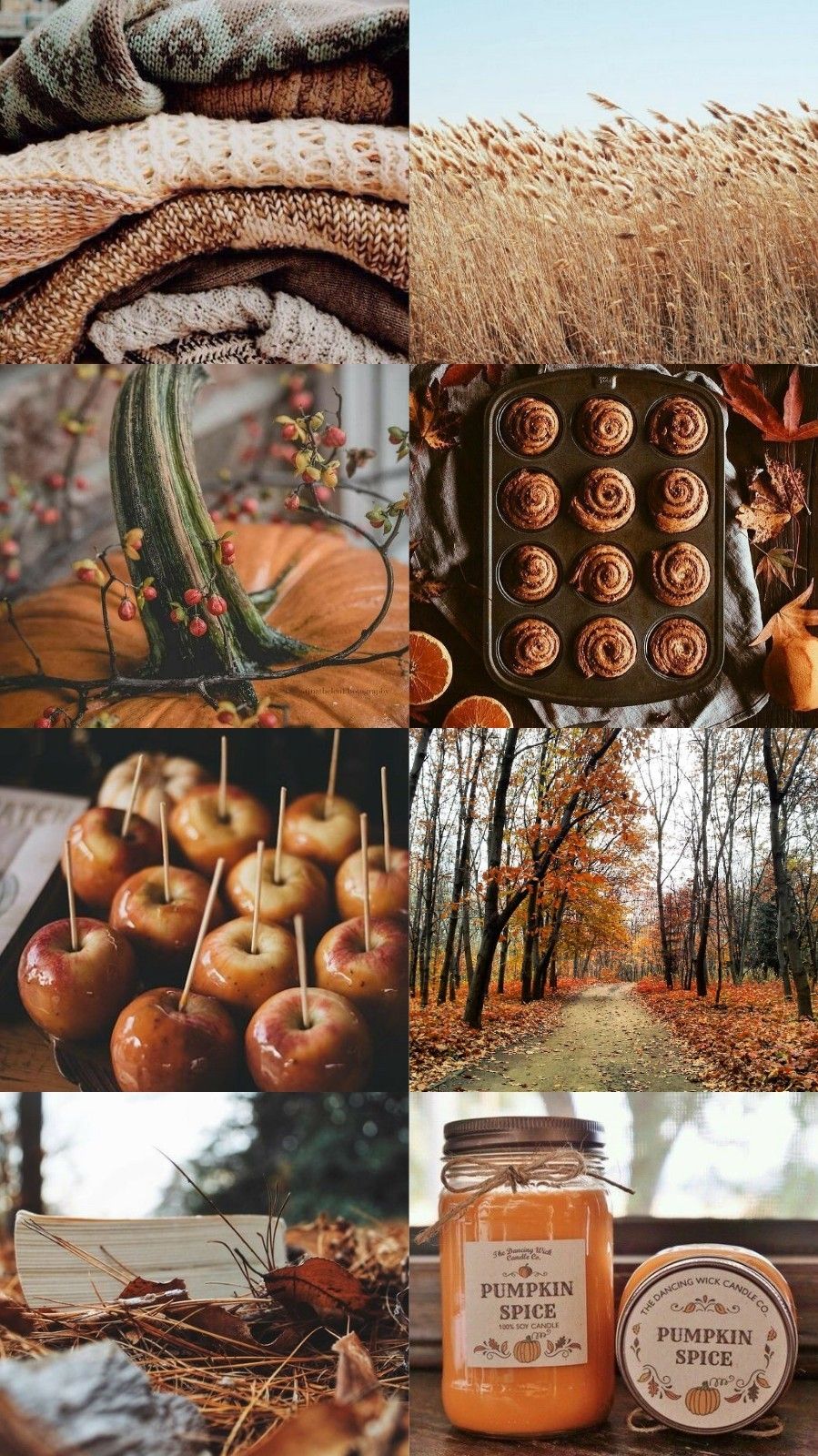 Autumn Aesthetic Wallpapers