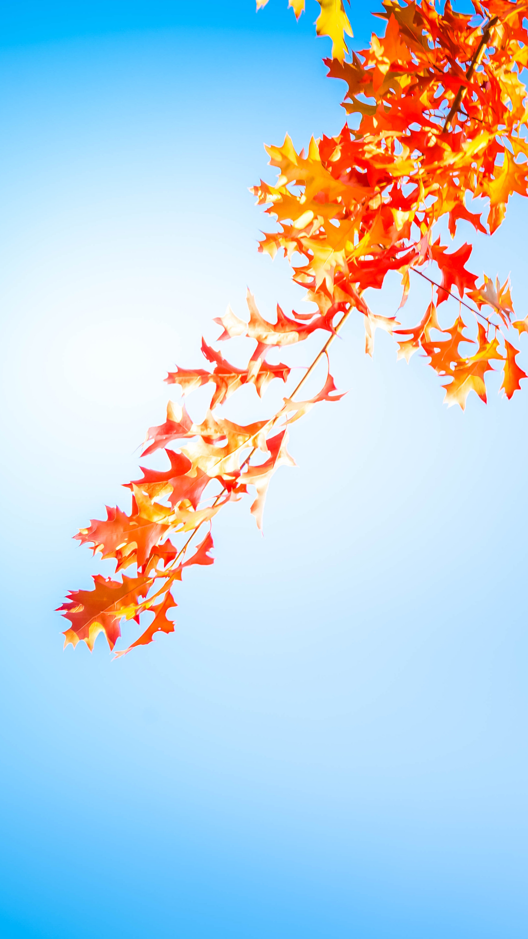 Autumn Aesthetic Wallpapers