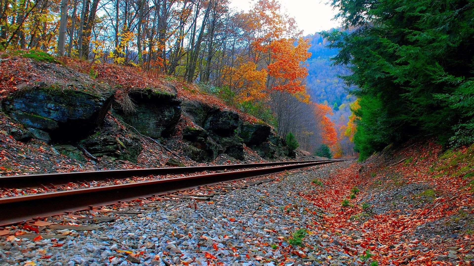 Autumn And Railroad Tracks Wallpapers