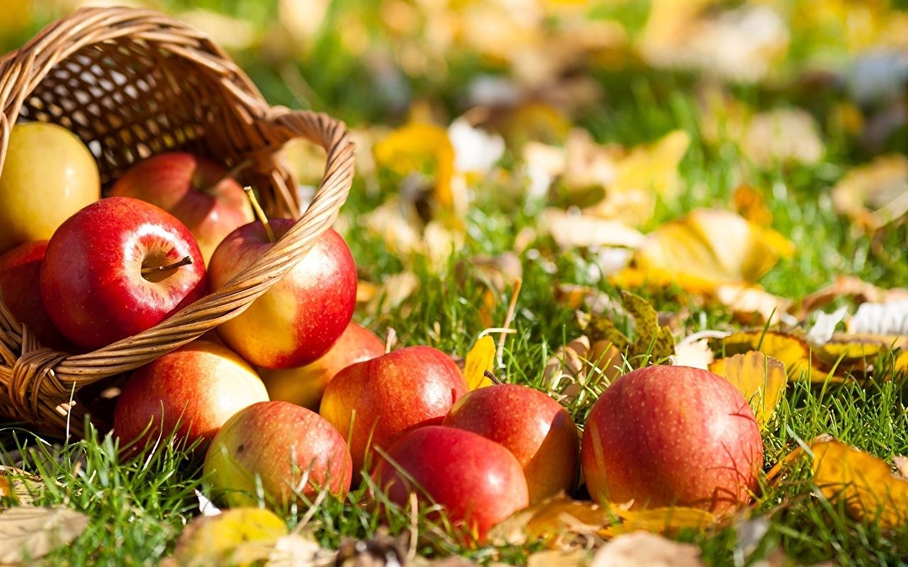 Autumn Apples Wallpapers