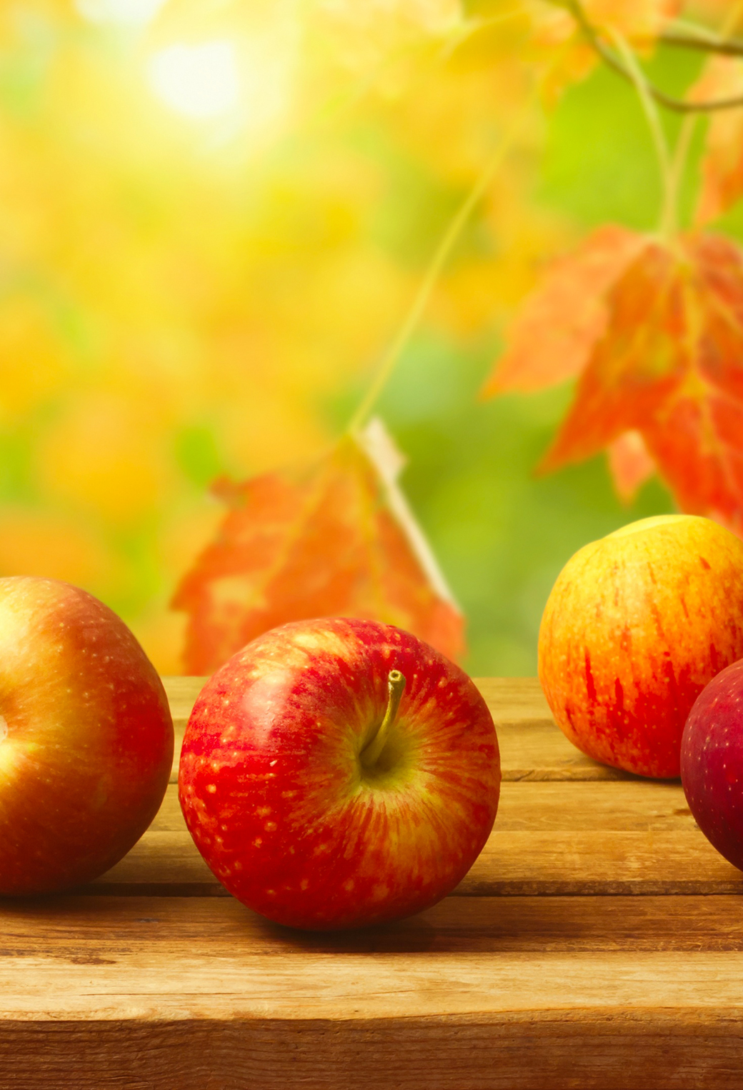 Autumn Apples Wallpapers