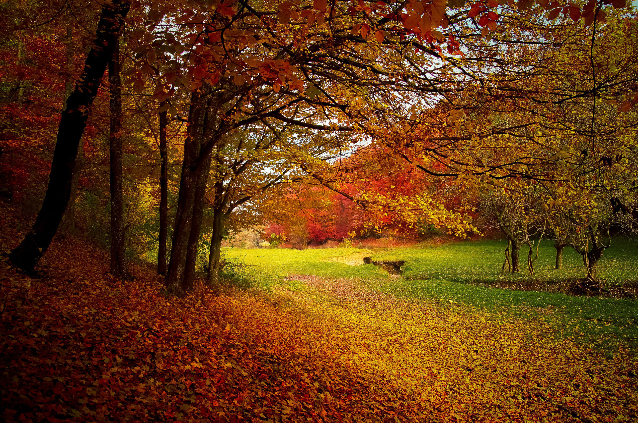 Autumn Chromebook Wallpapers