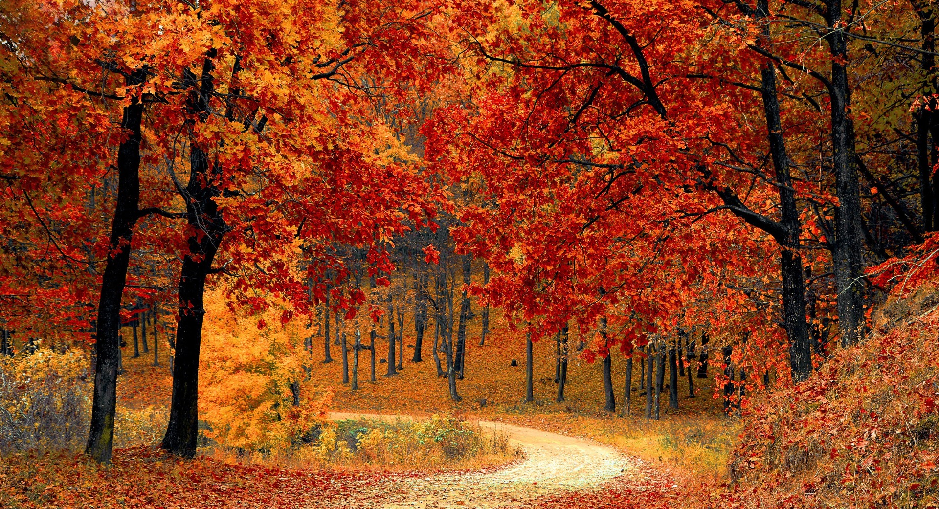 Autumn Colors Wallpapers