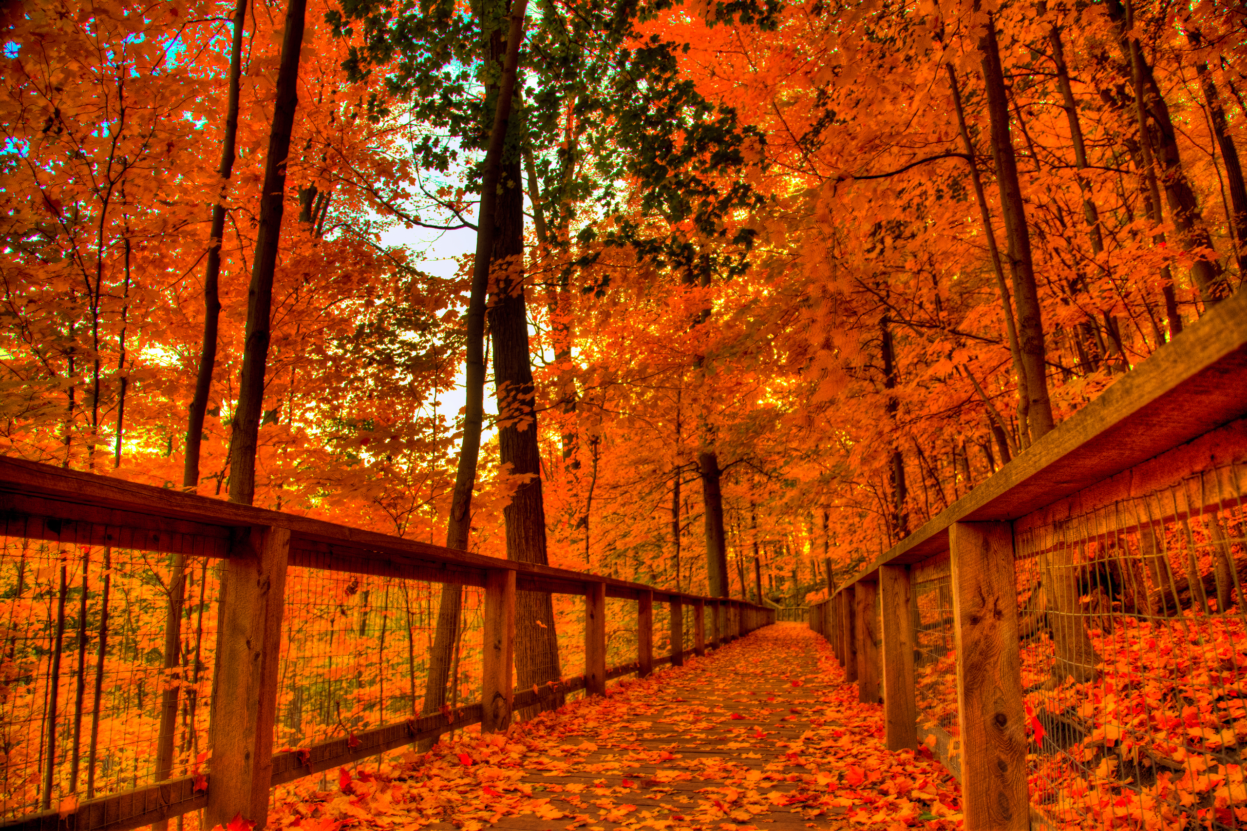 Autumn Colors Wallpapers