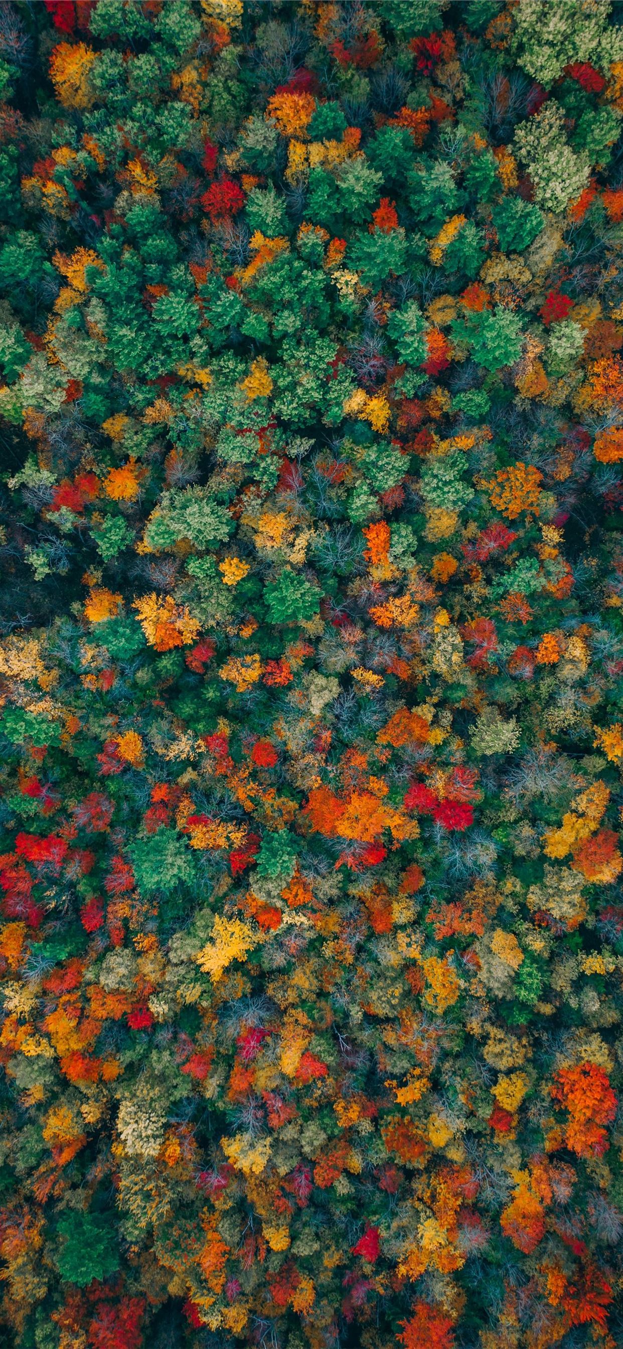 Autumn Colors Wallpapers