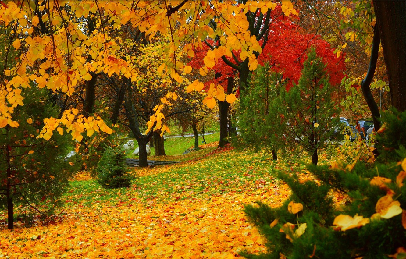 Autumn Colors Wallpapers