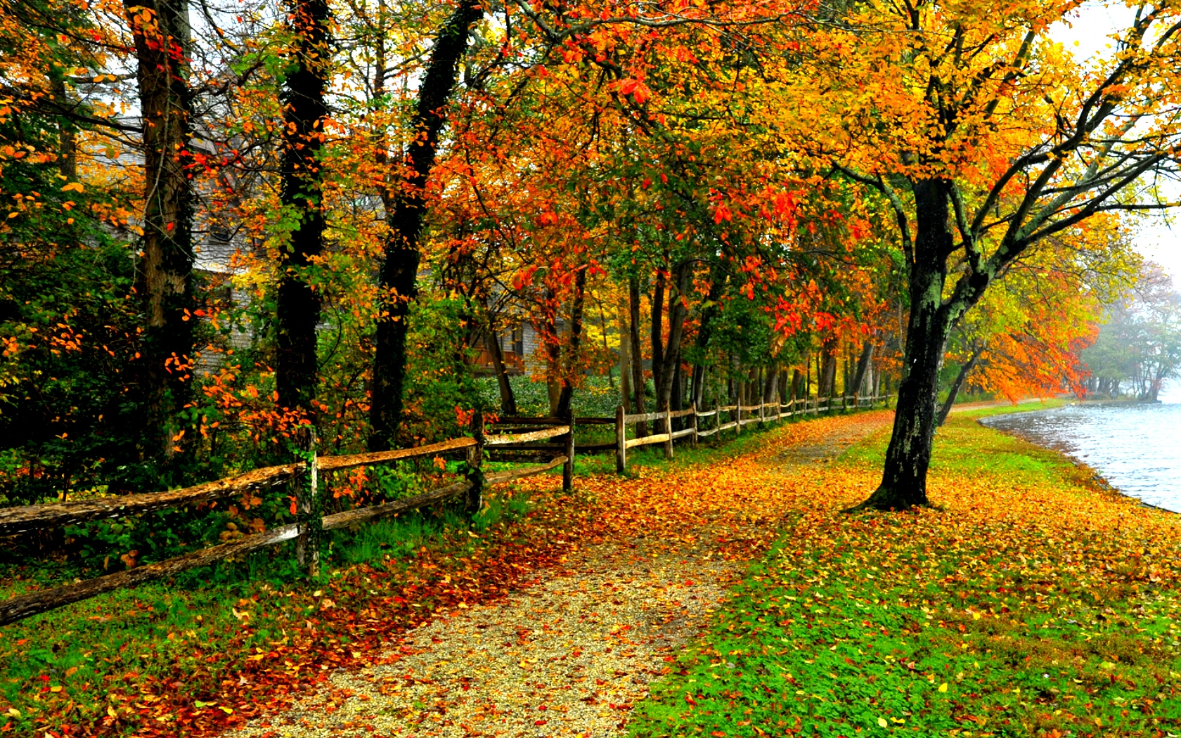 Autumn Colors Wallpapers