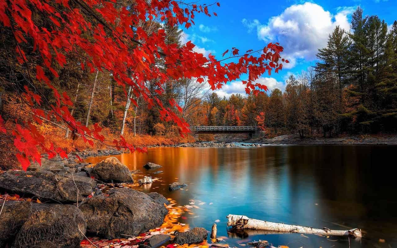 Autumn Colors Wallpapers