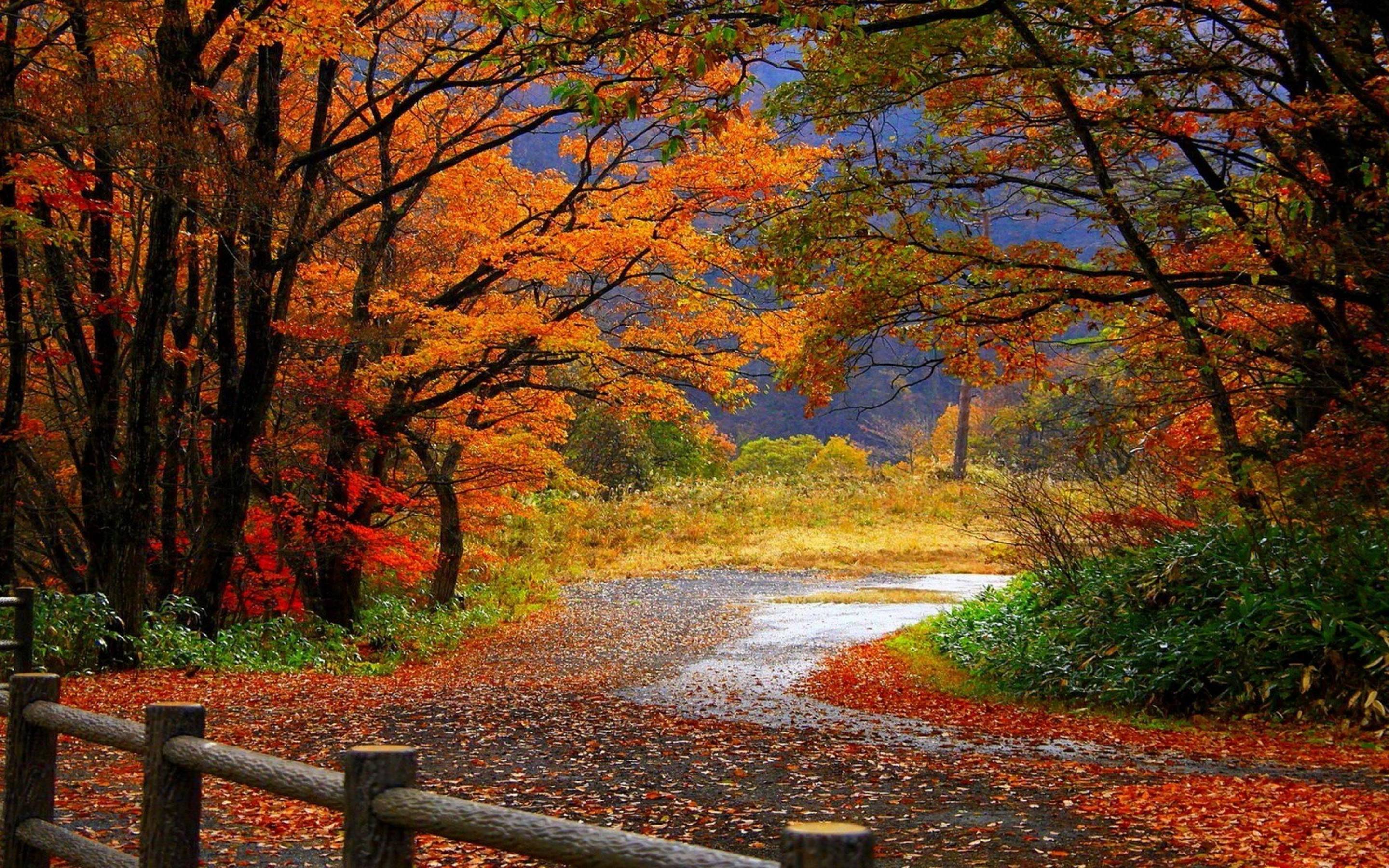 Autumn Colors Wallpapers