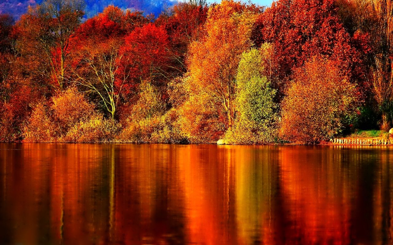 Autumn Fall Wallpapers