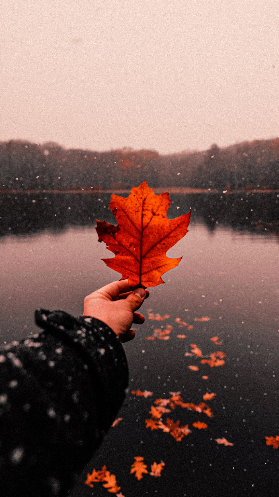 Autumn Fall Wallpapers