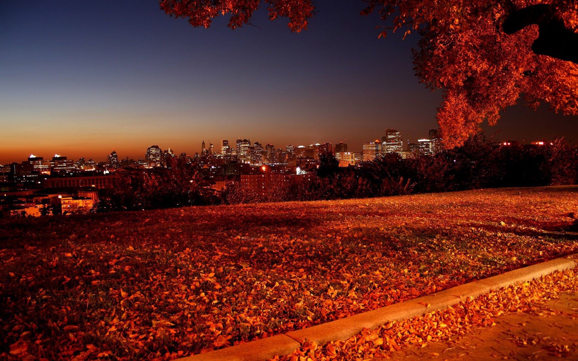 Autumn Fall Night Wallpapers