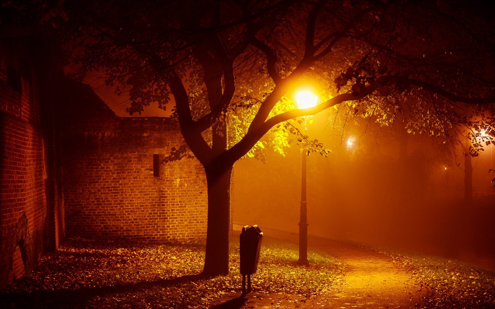 Autumn Fall Night Wallpapers