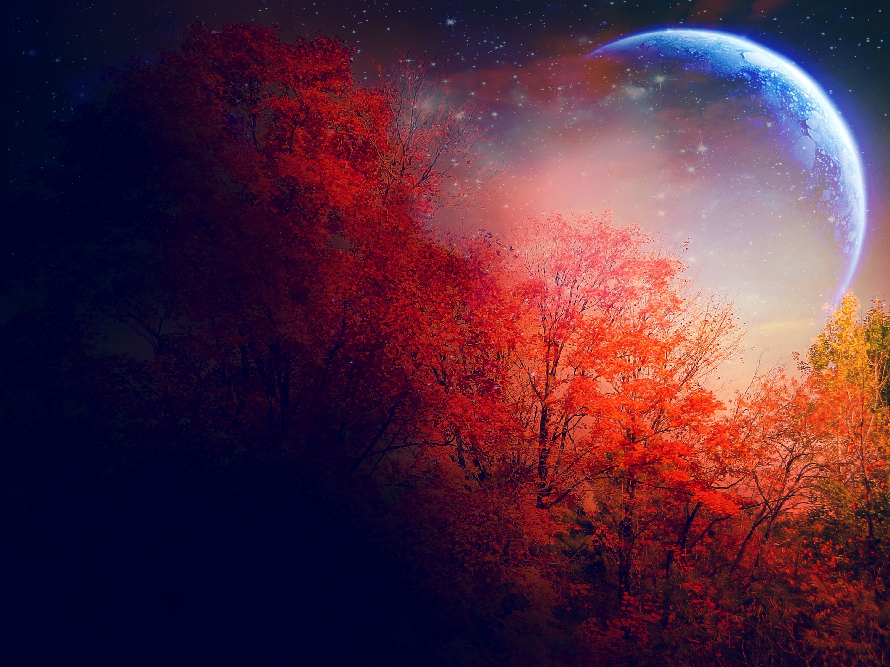 Autumn Fall Night Wallpapers