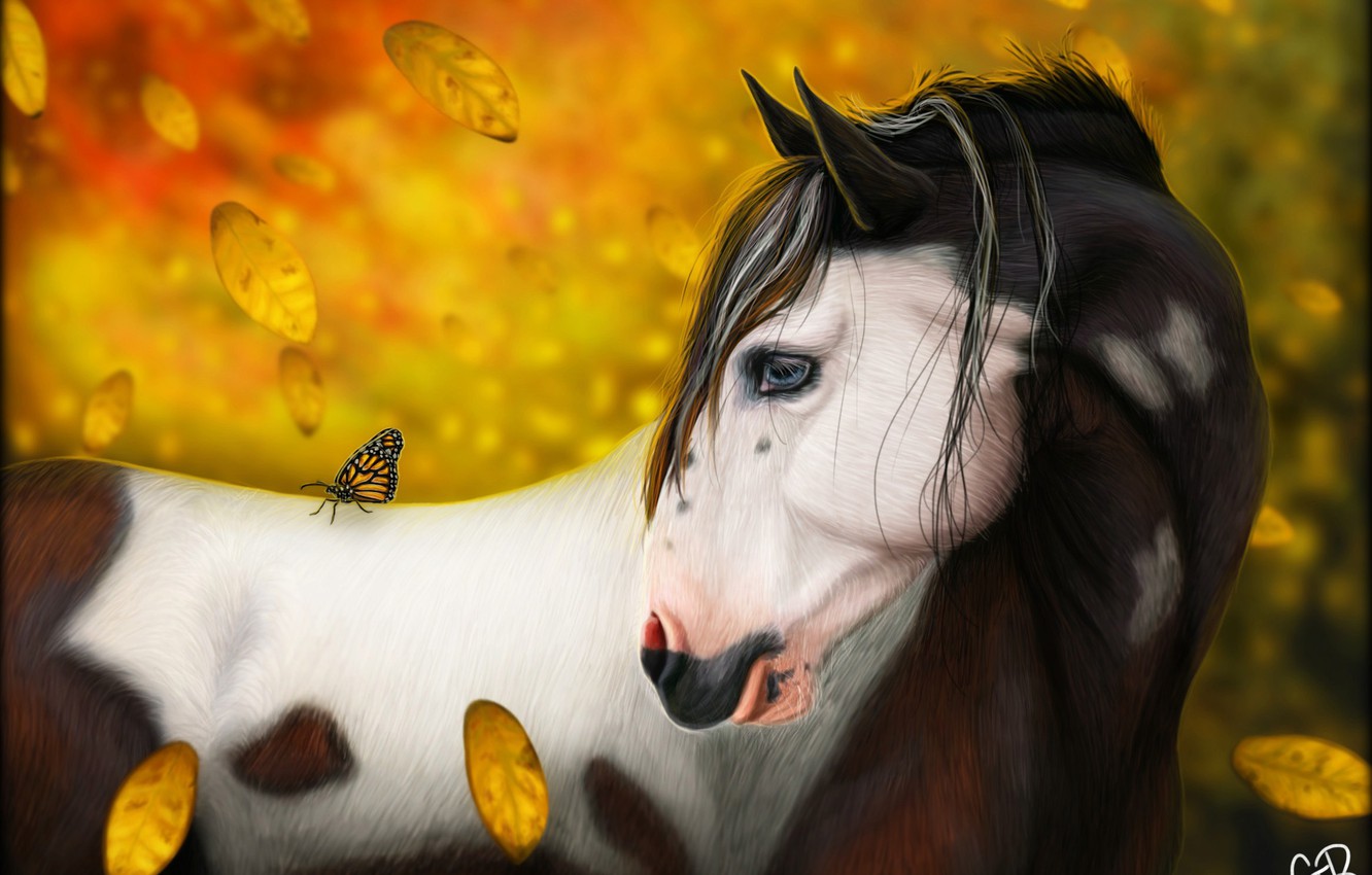 Autumn Horse Wallpapers