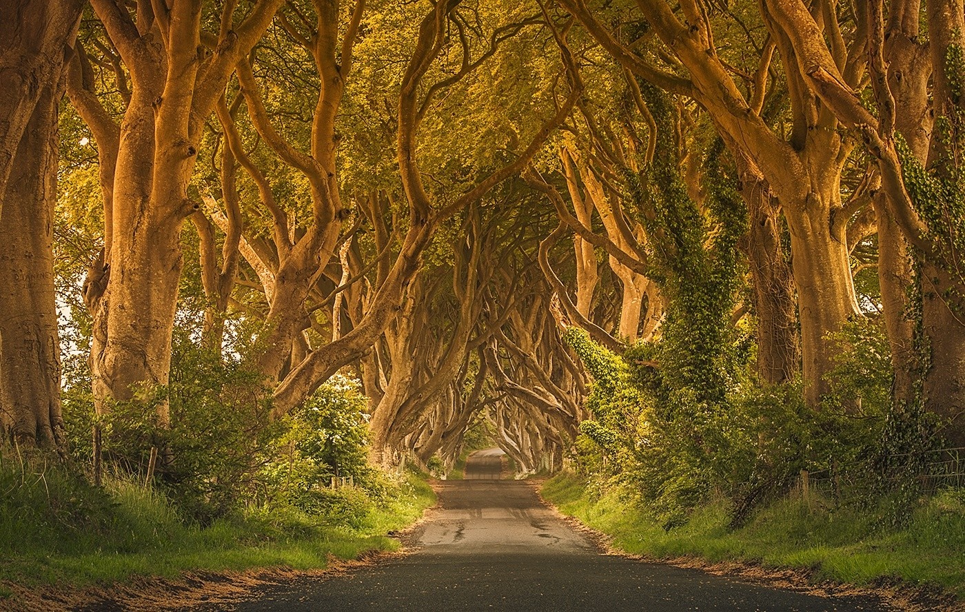 Autumn In Ireland Wallpapers