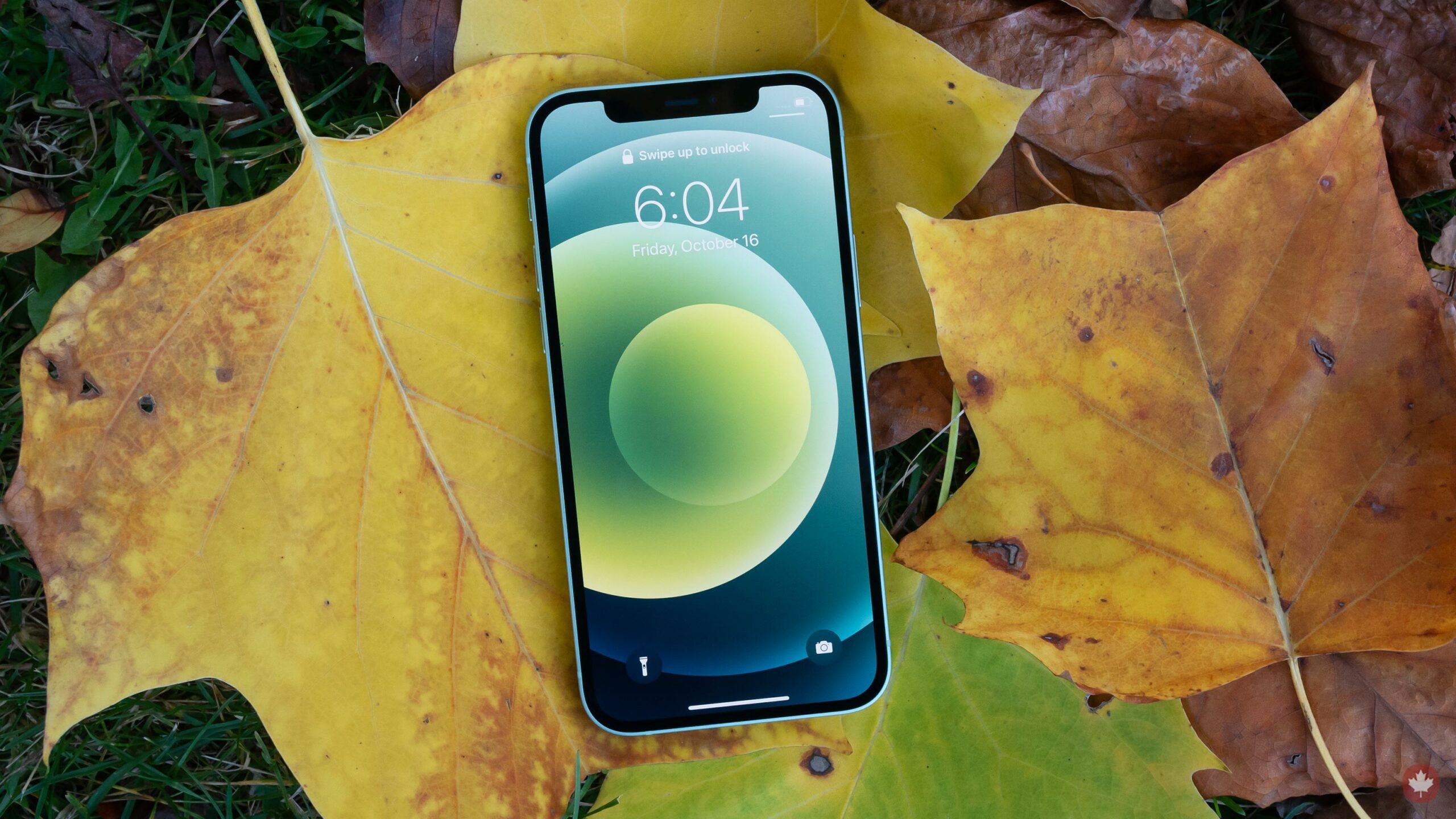 Autumn Iphone 12 Mini Wallpapers