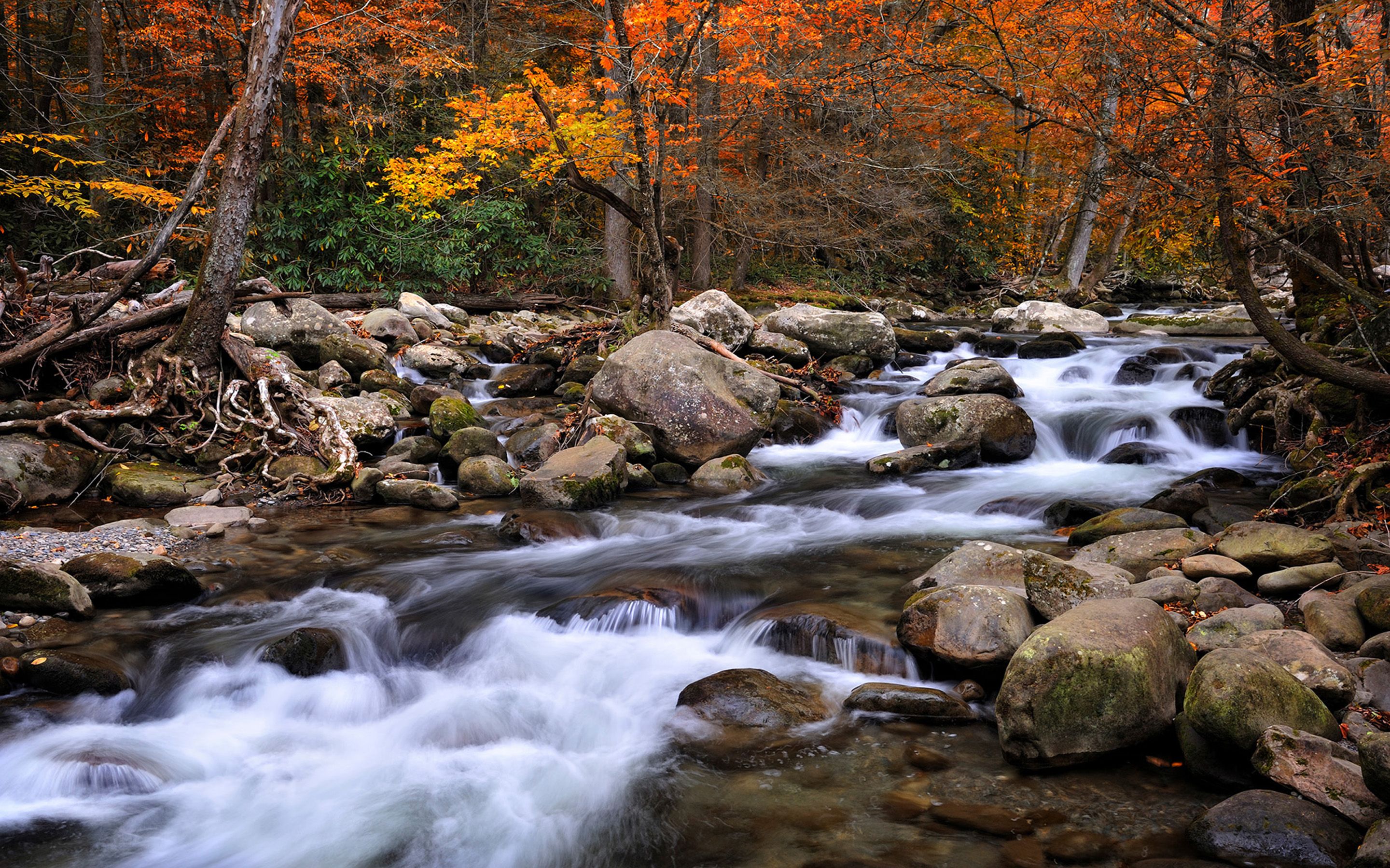 Autumn Mountain Stream Wallpapers