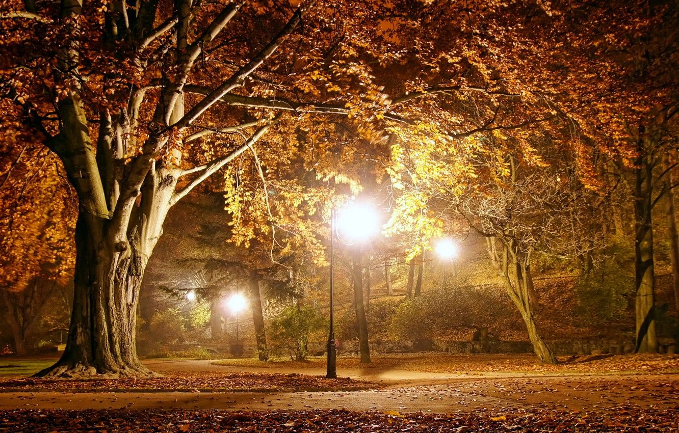 Autumn Night Wallpapers