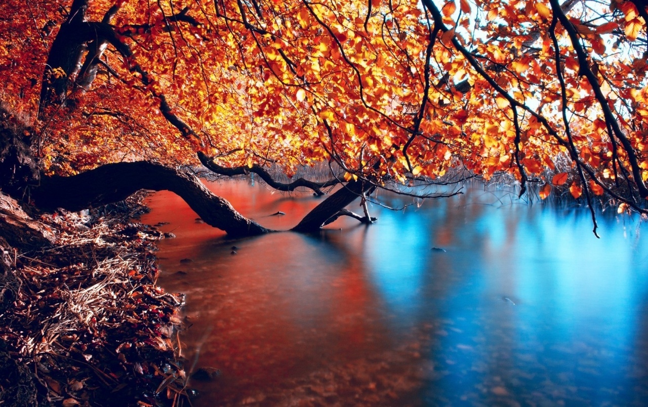 Autumn Ocean Wallpapers