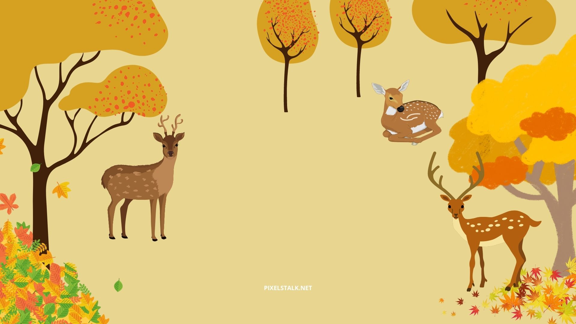 Autumn Pets Desktop Wallpapers