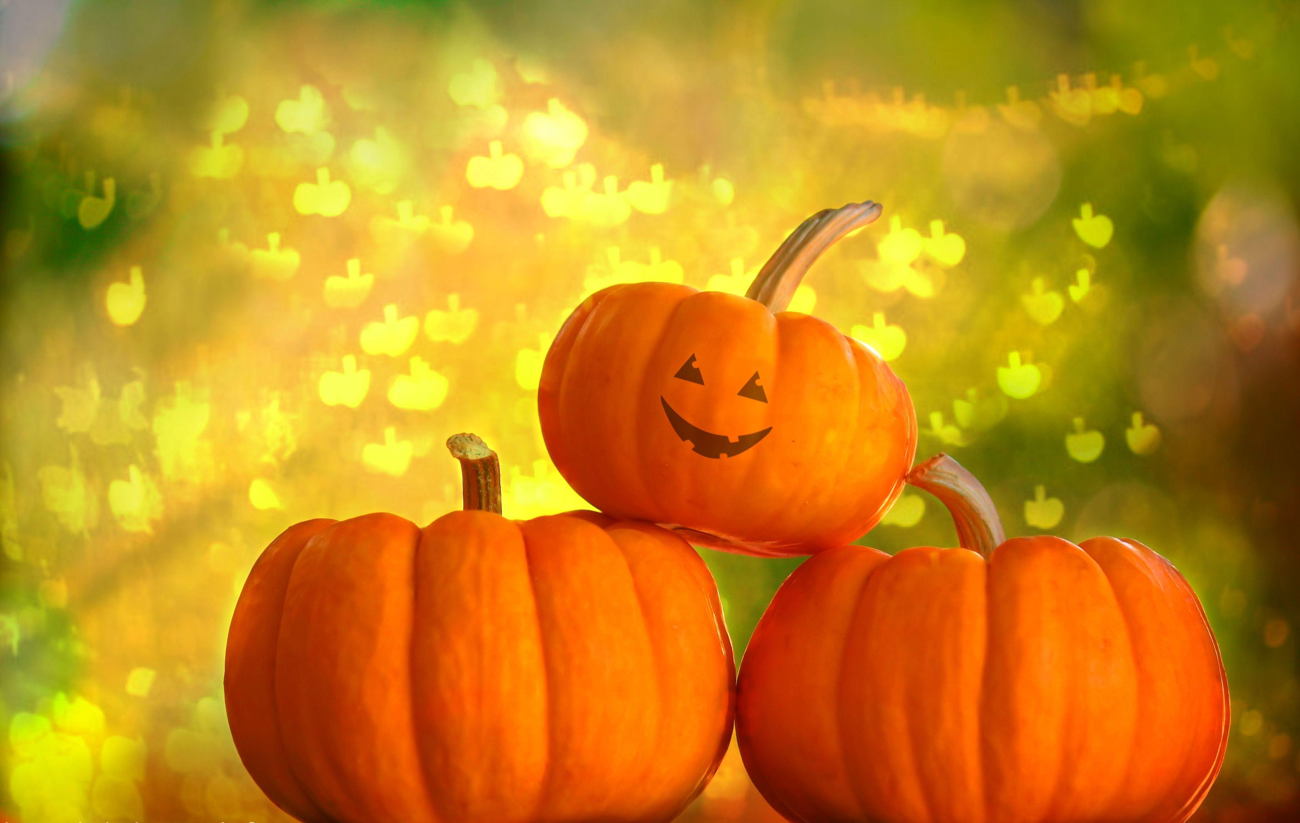 Autumn Pumpkin Desktop Wallpapers