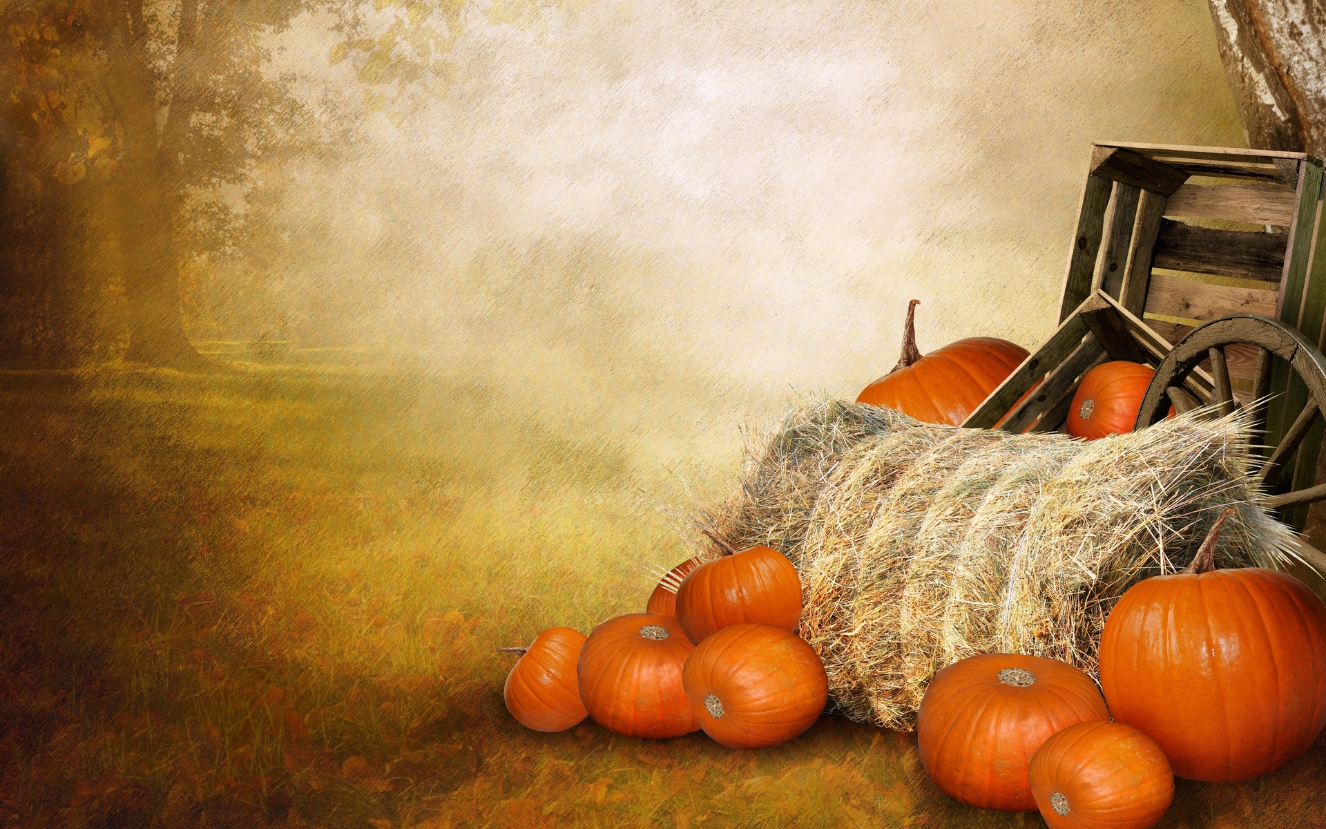 Autumn Pumpkin Desktop Wallpapers