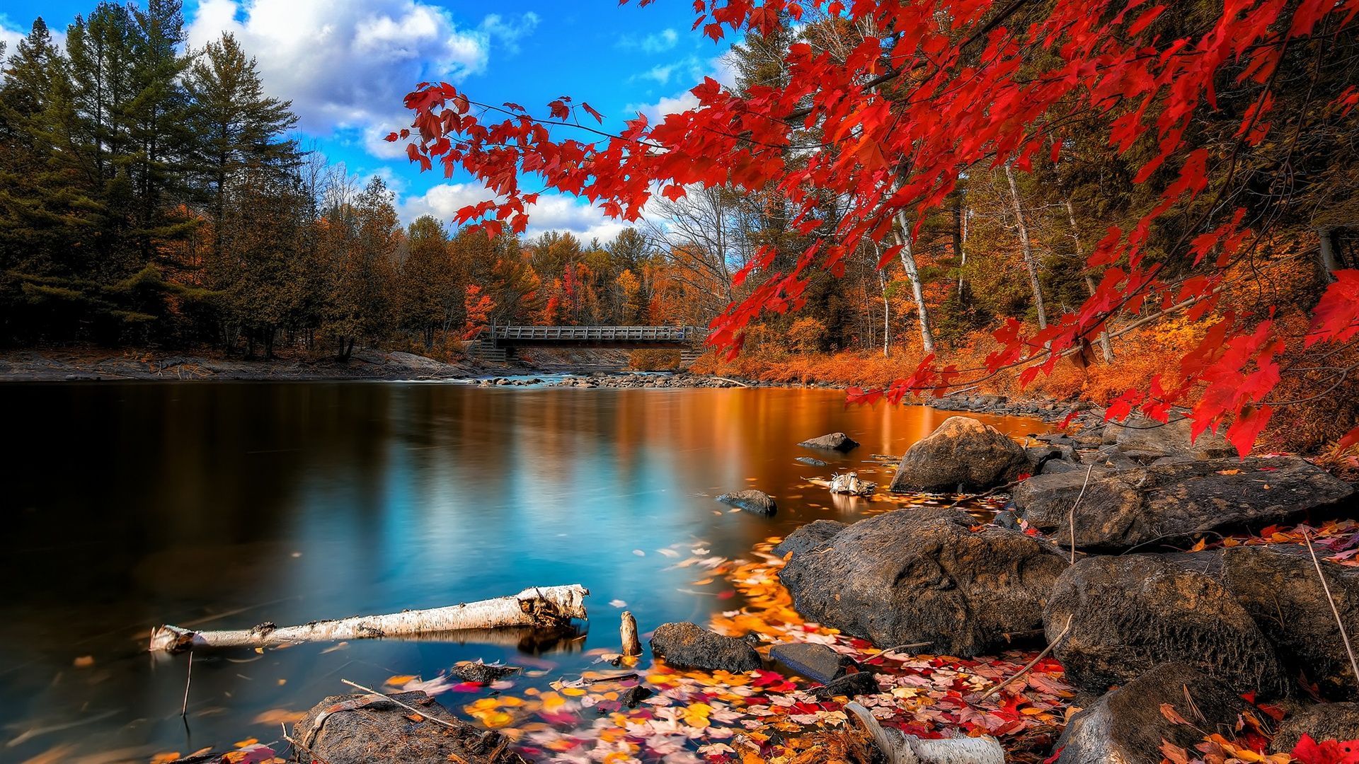 Autumn River Wallpapers