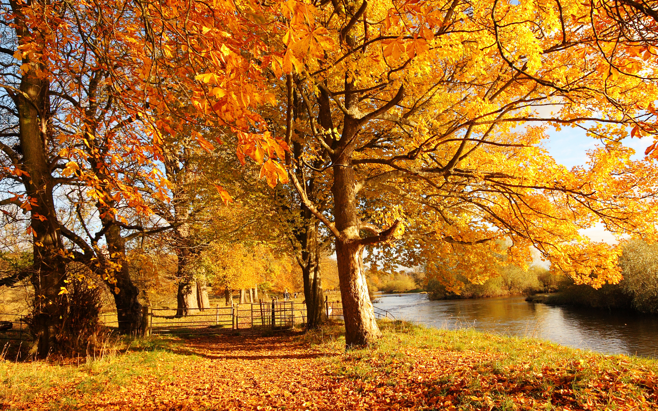 Autumn River Wallpapers