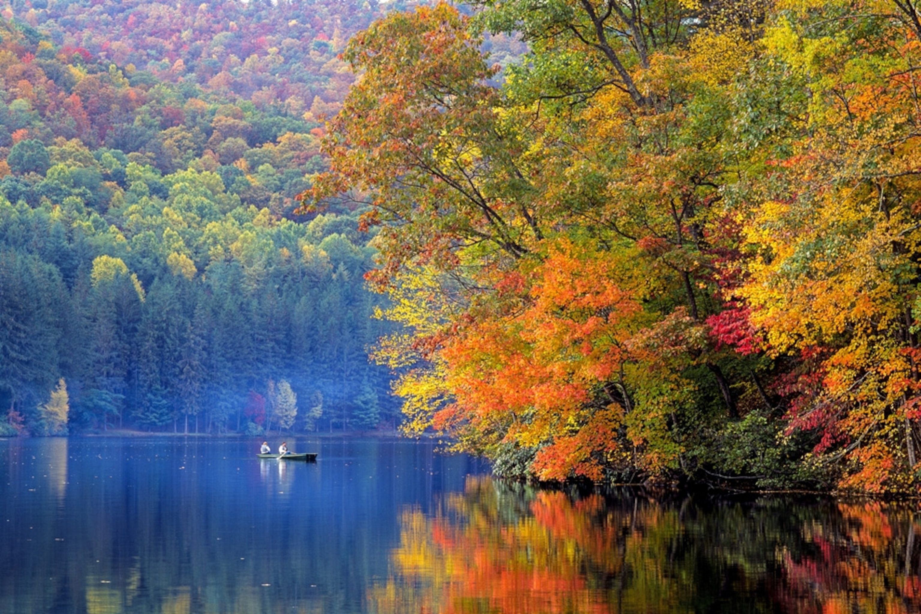 Autumn River Hd Side Path Wallpapers