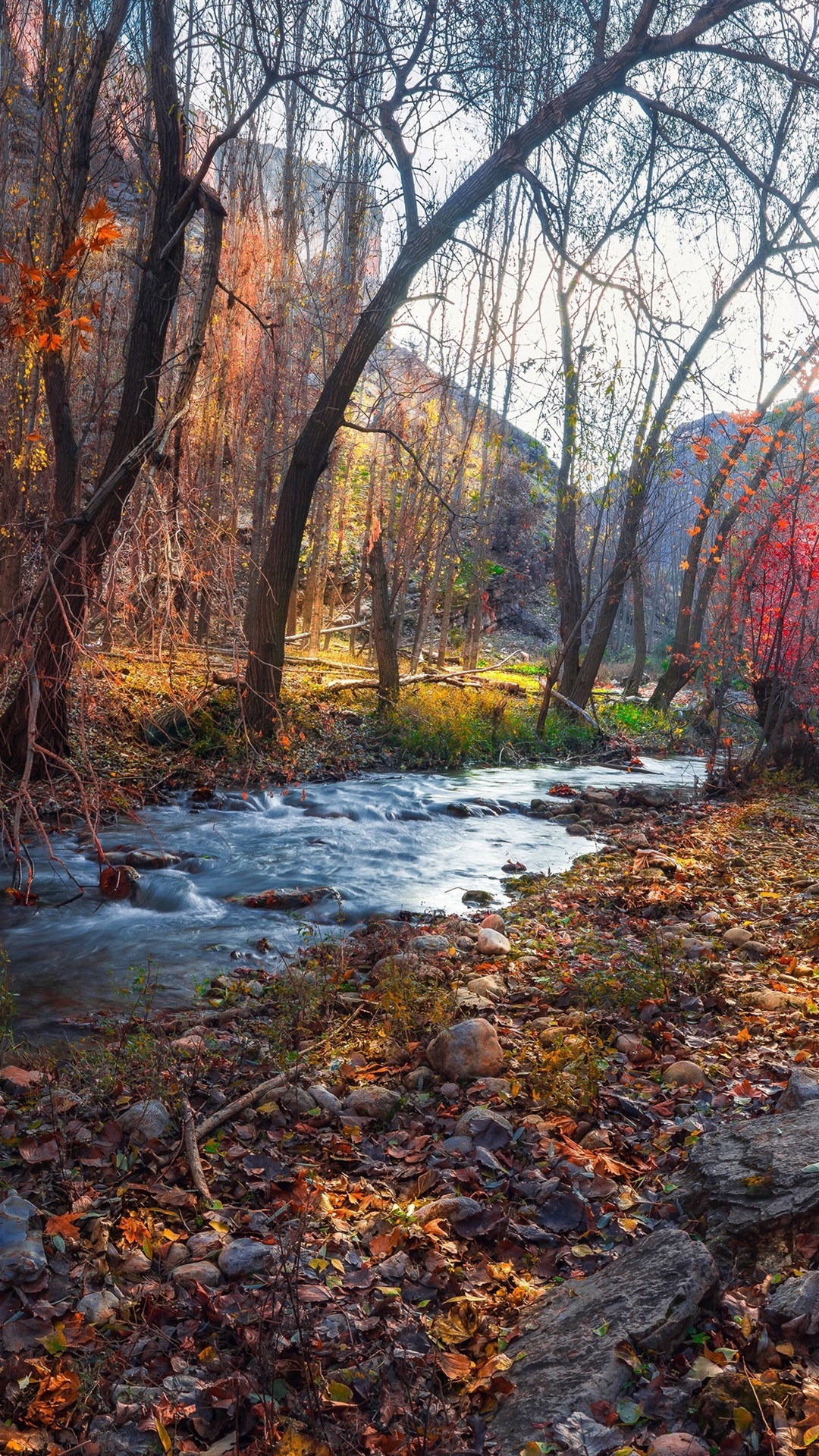 Autumn River Hd Side Path Wallpapers