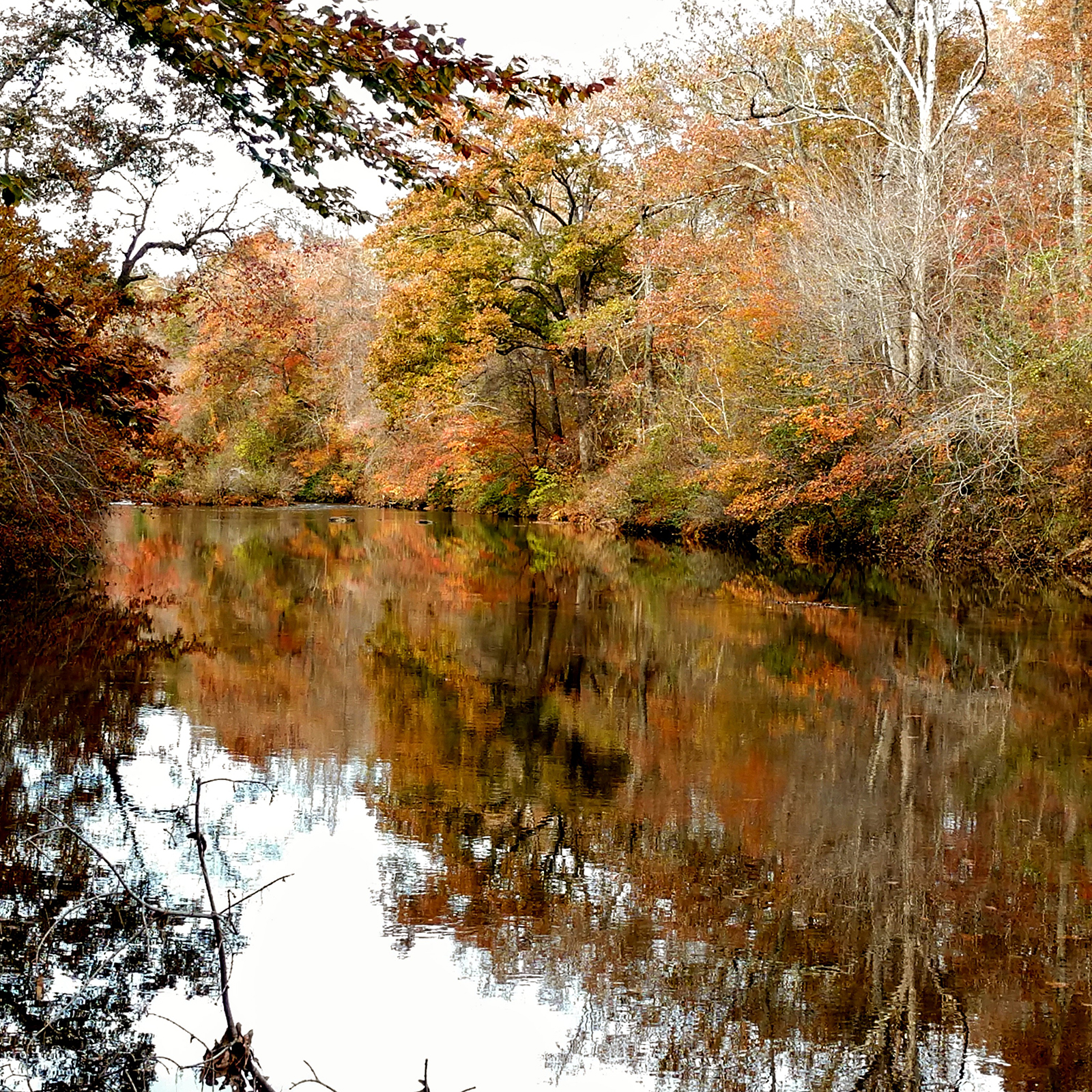 Autumn River Hd Side Path Wallpapers