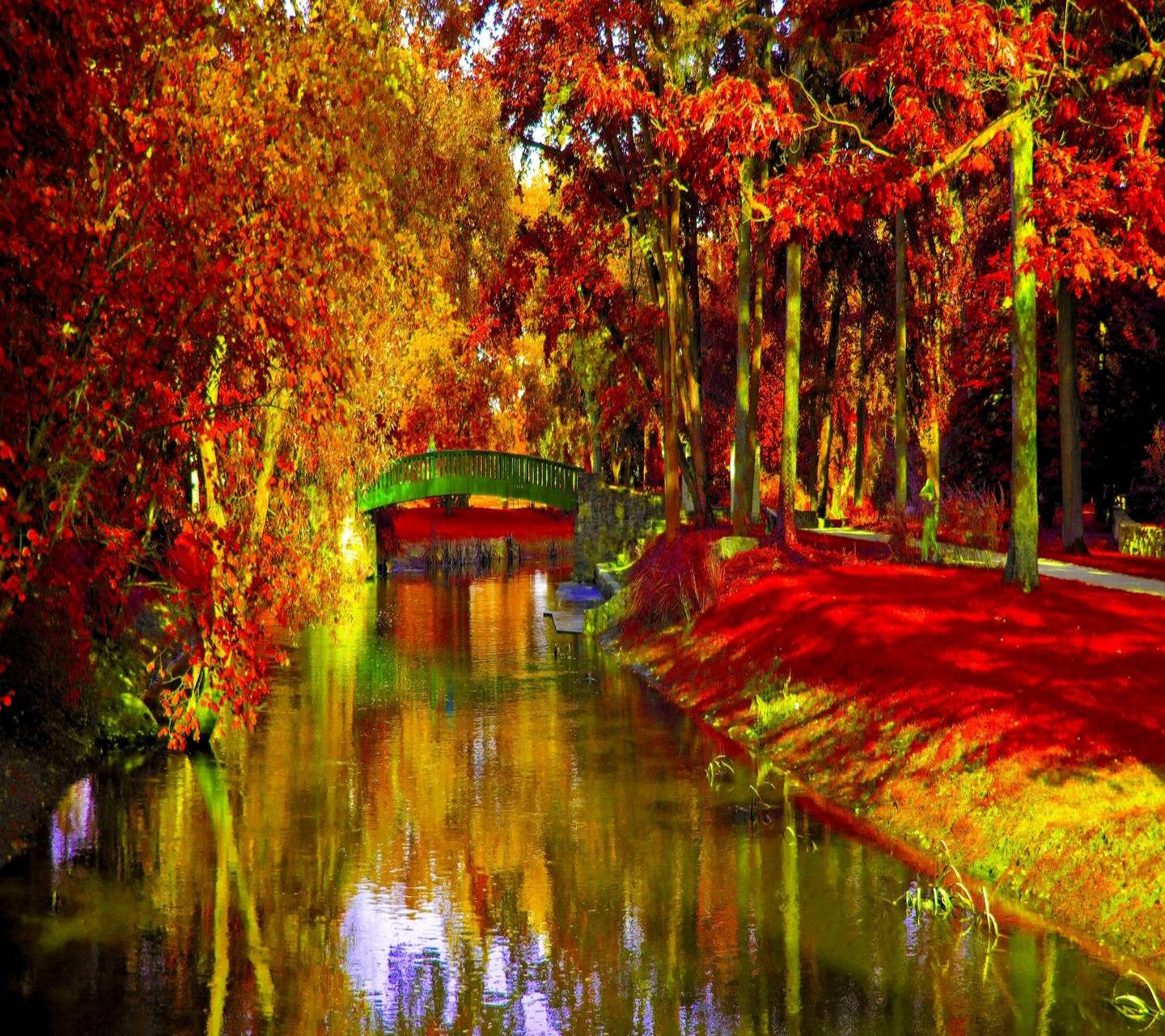 Autumn River Hd Side Path Wallpapers