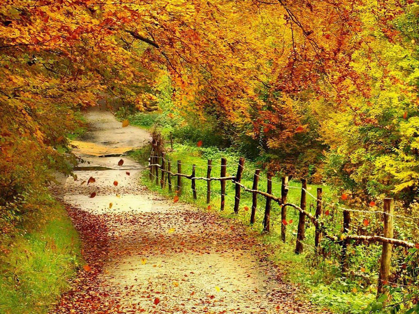 Autumn Scene Wallpapers