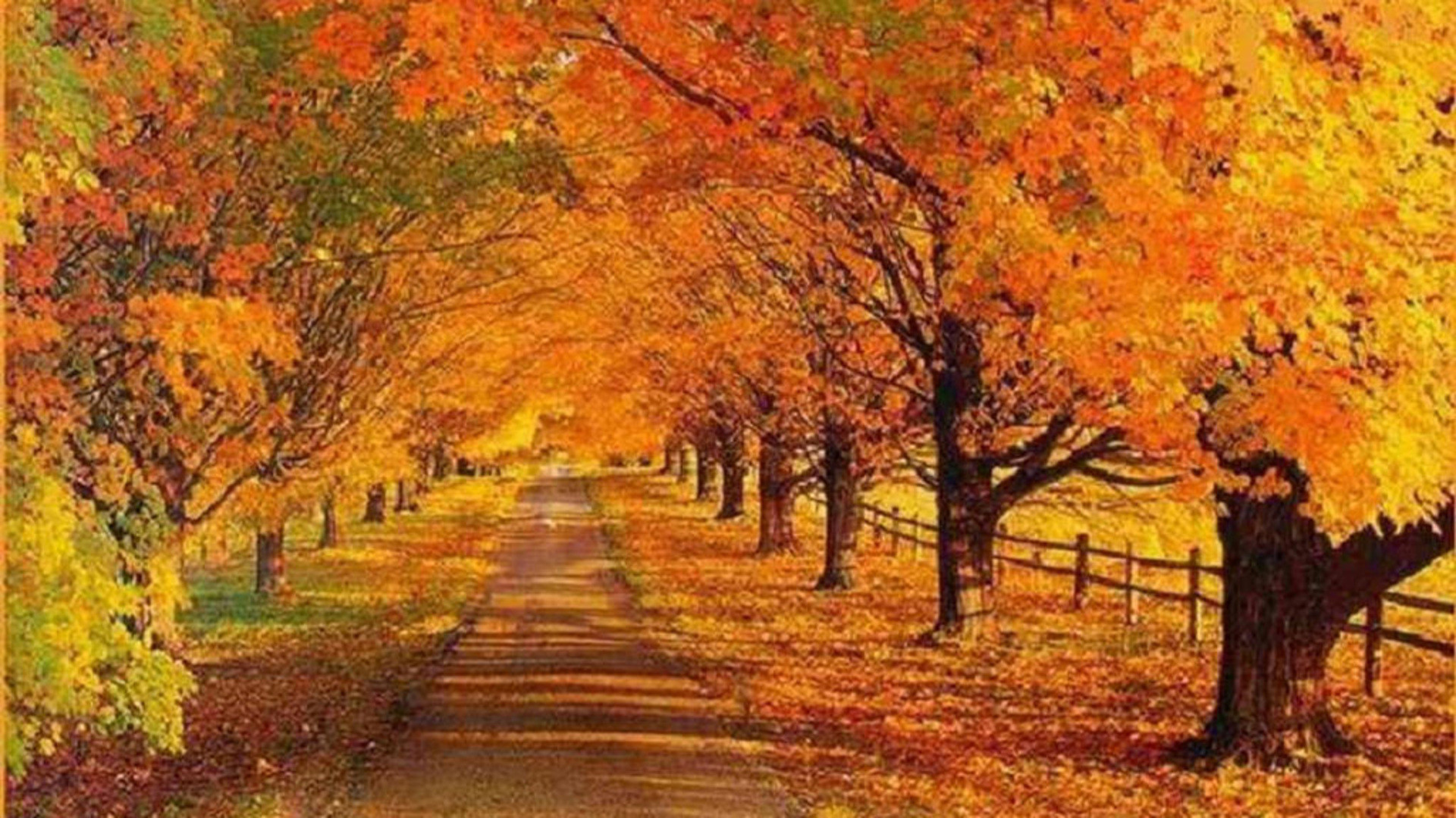 Autumn Scene Wallpapers