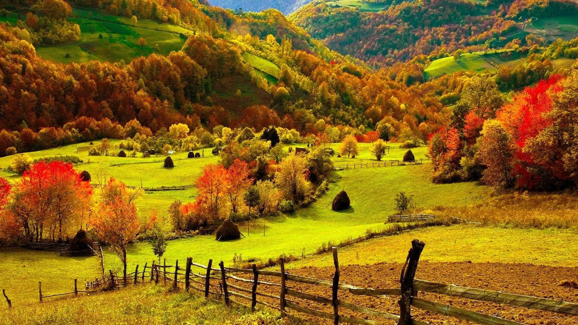 Autumn Scene Wallpapers