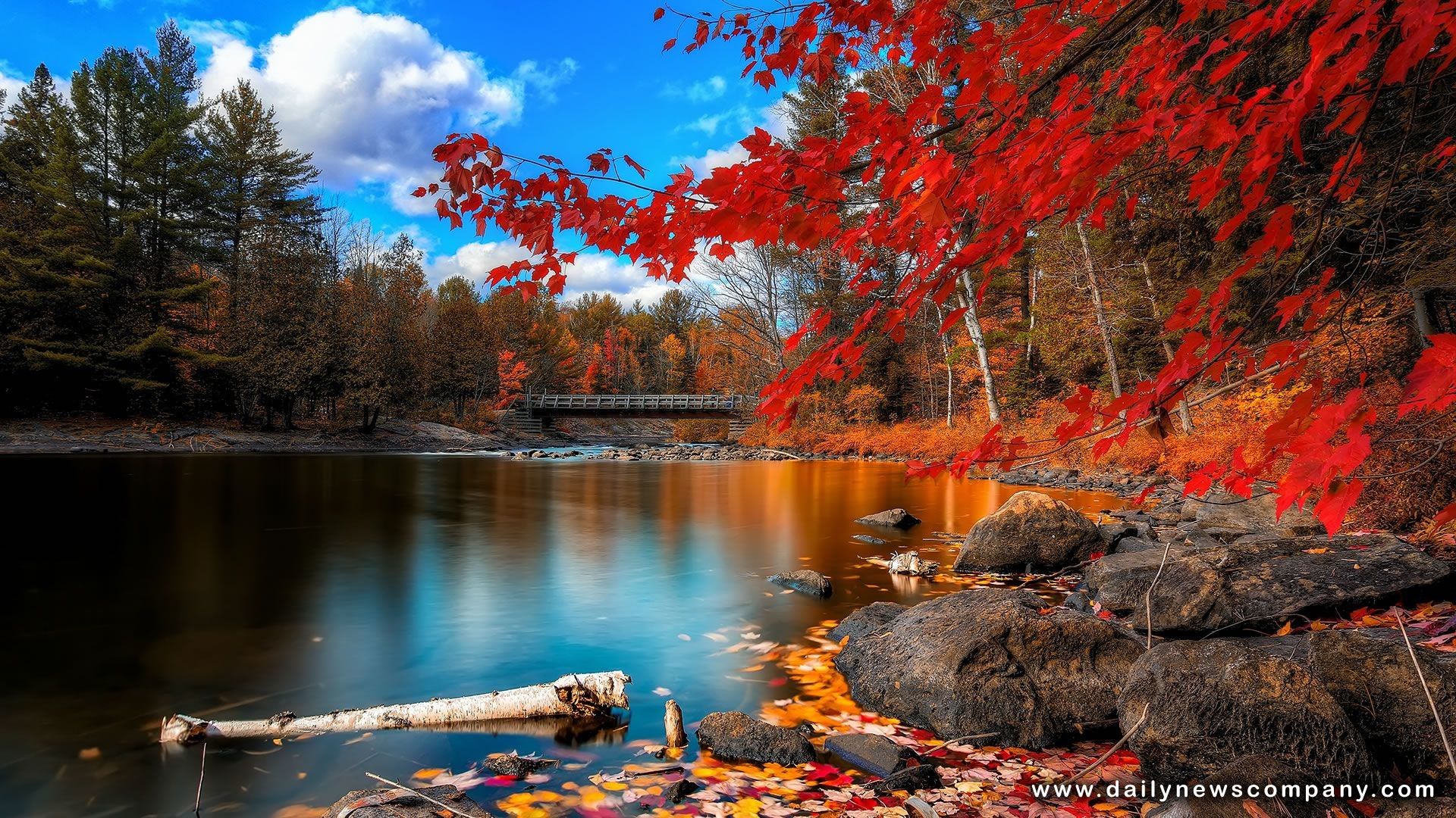 Autumn Scenes Desktop Wallpapers