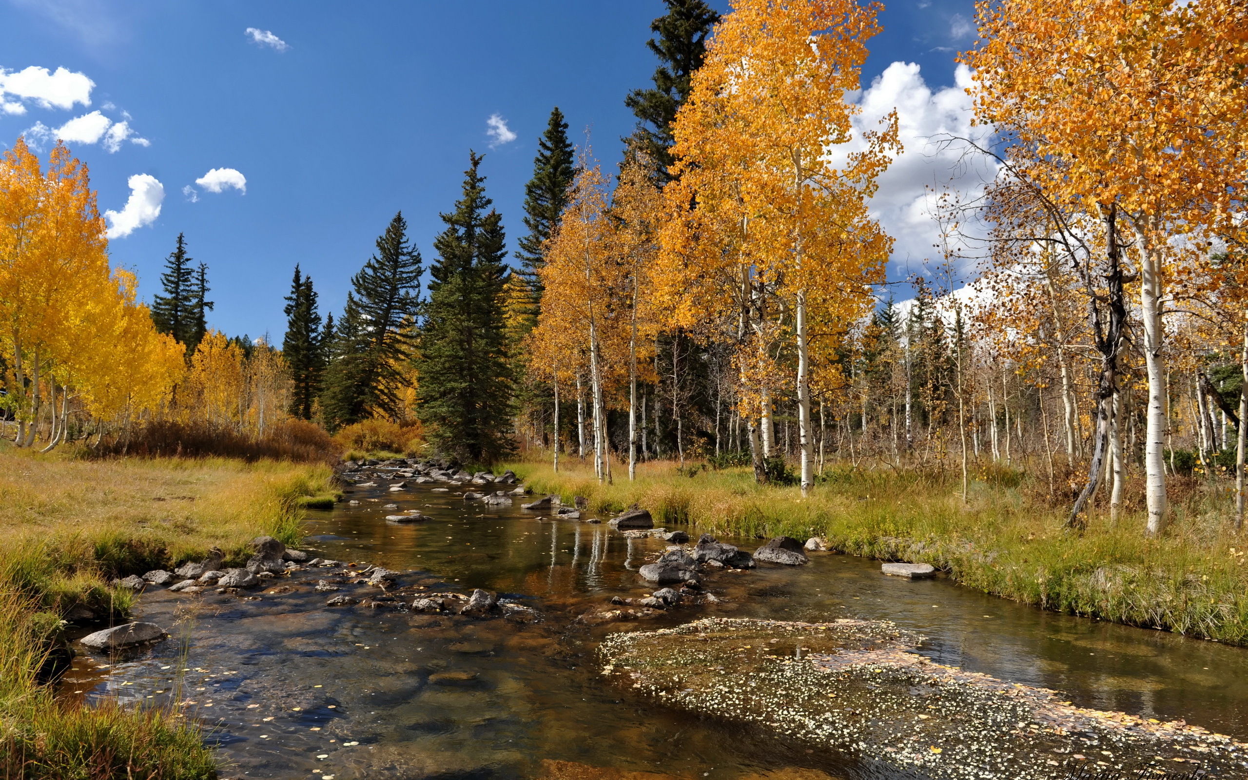 Autumn Scenes Desktop Wallpapers