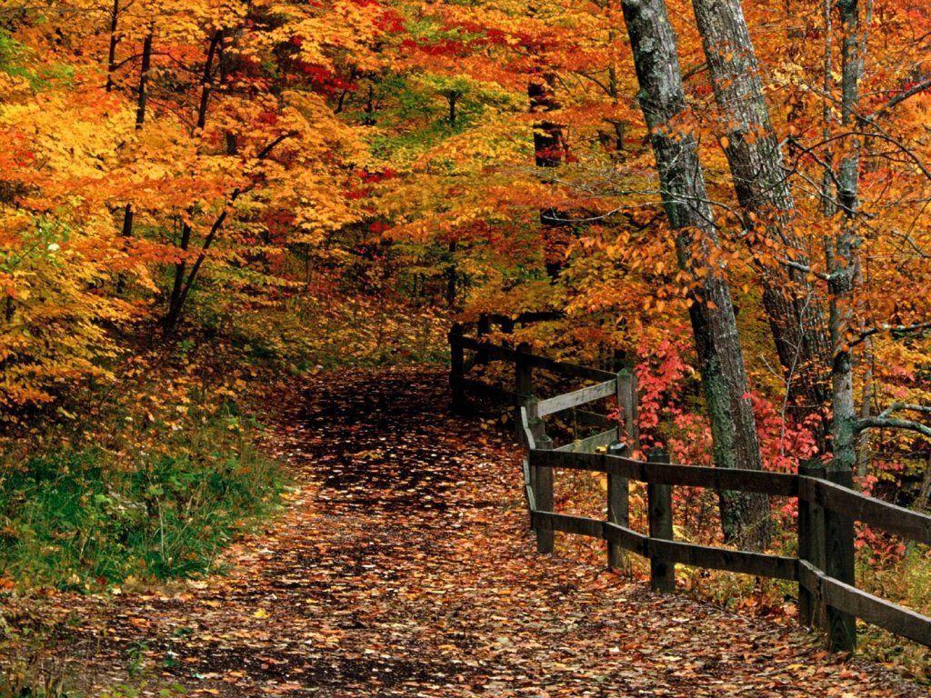 Autumn Scenes Desktop Wallpapers