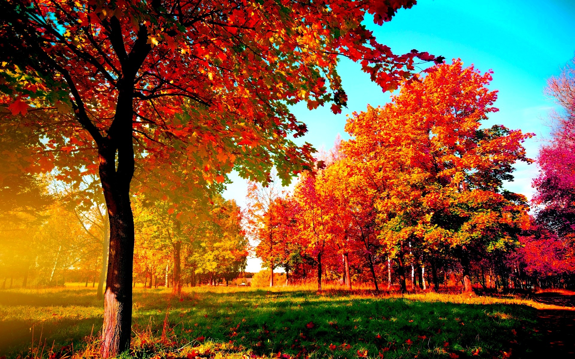 Autumn Scenes Desktop Wallpapers