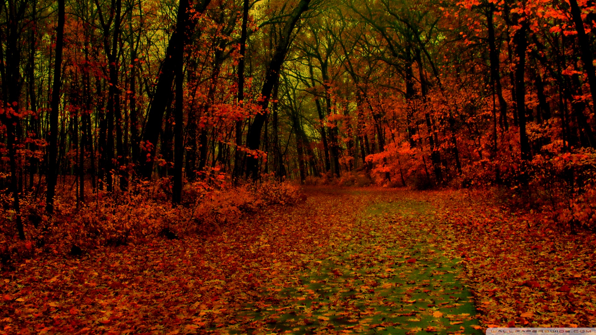 Autumn Scenes Desktop Wallpapers