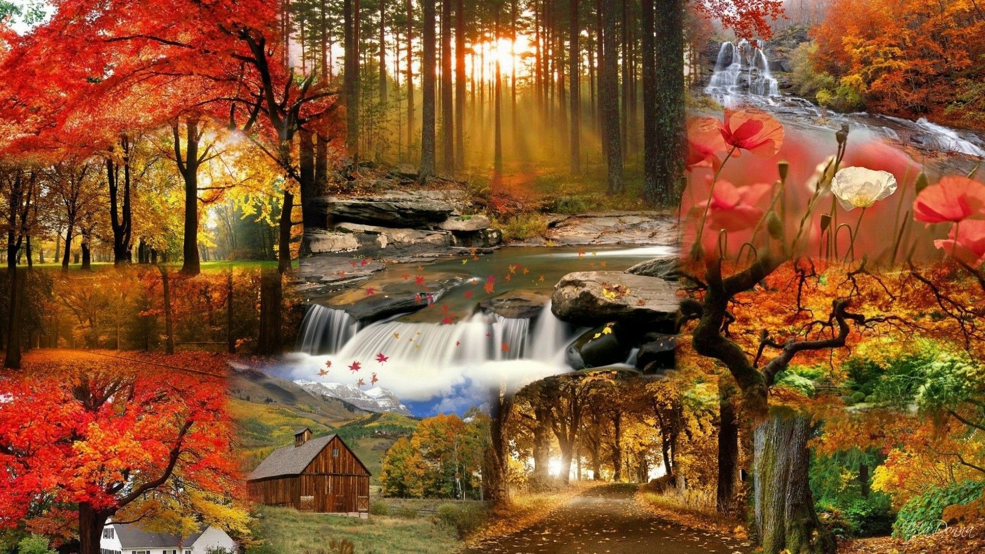 Autumn Scenes Wallpapers