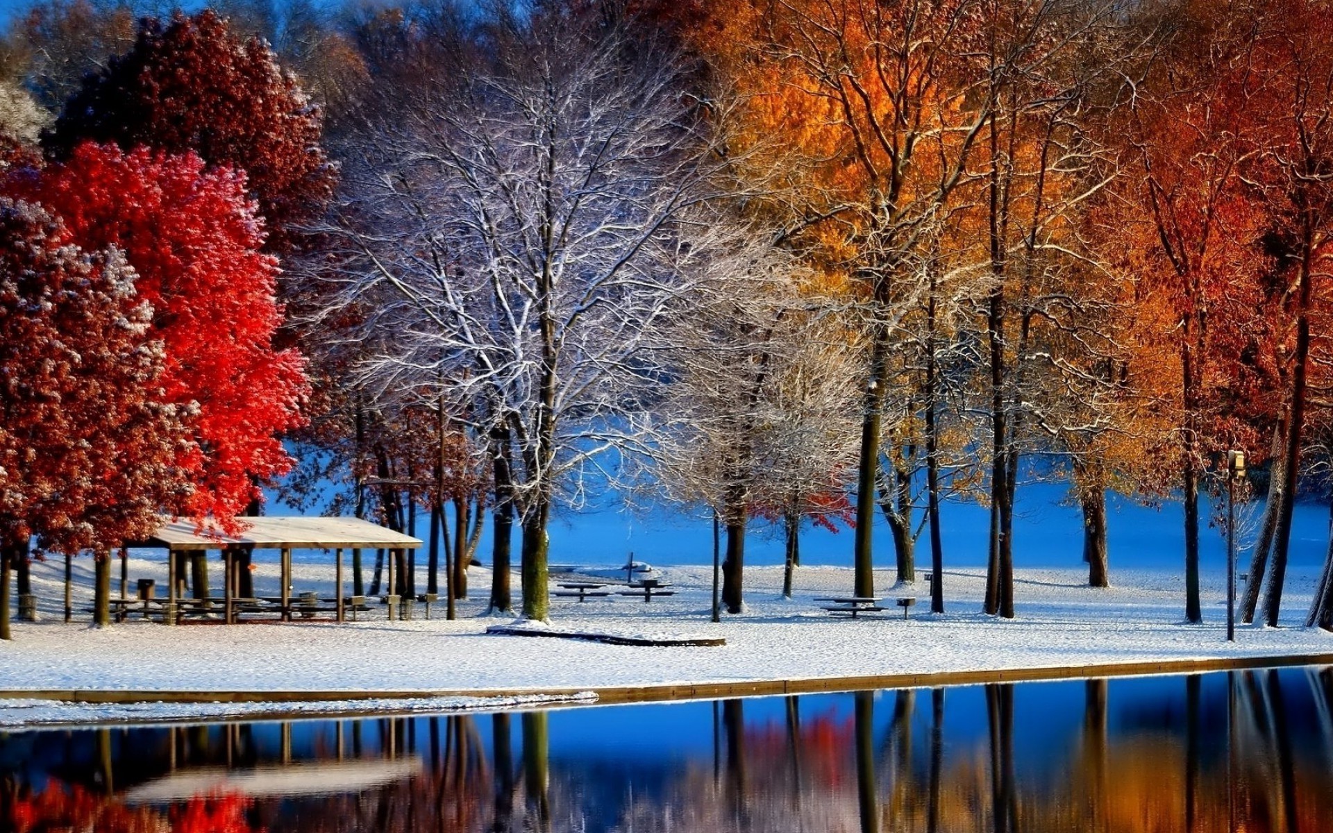 Autumn Snowfall Wallpapers