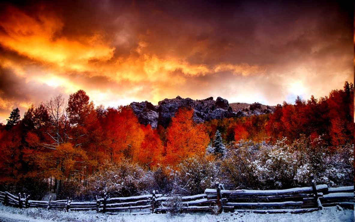 Autumn Snowfall Wallpapers