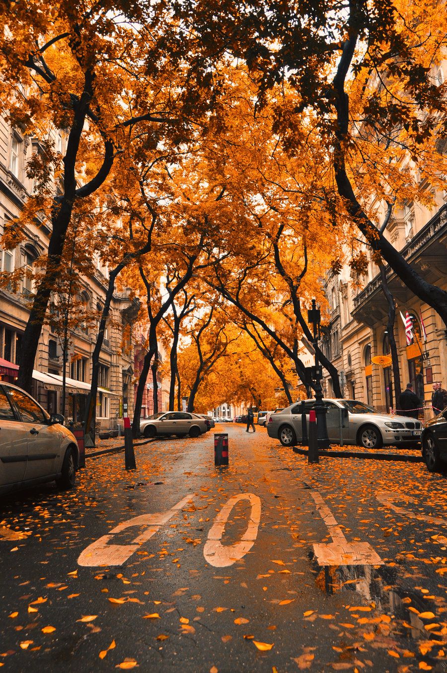 Autumn Town Wallpapers