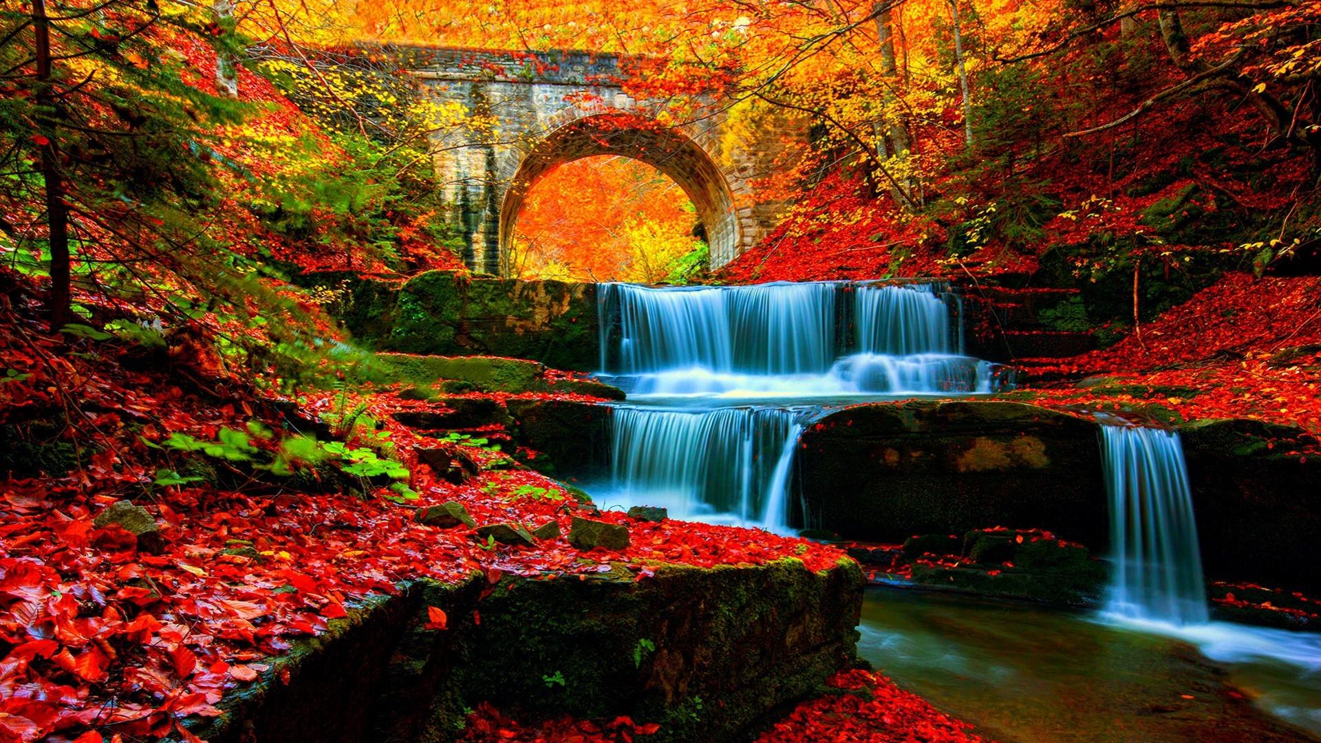 Autumn Waterfall Wallpapers