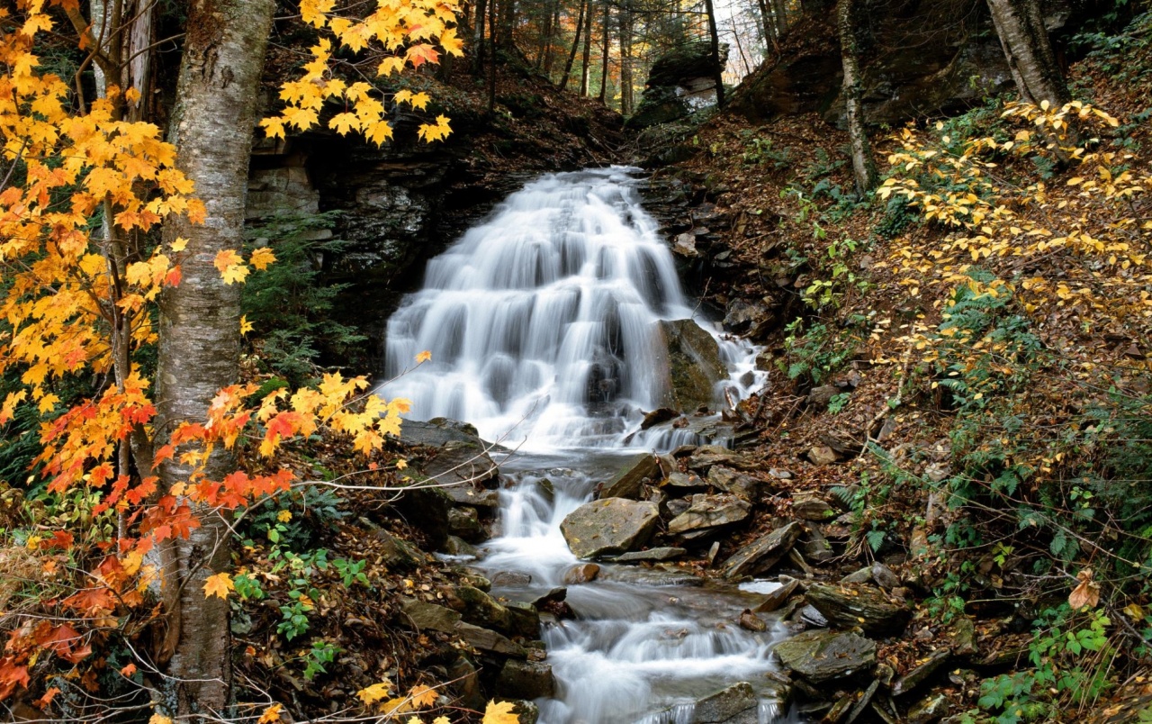 Autumn Waterfall Wallpapers